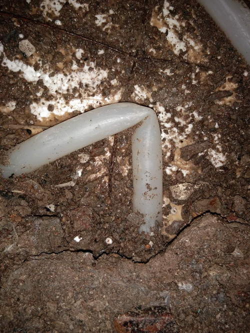 黄埔堵点精准查找